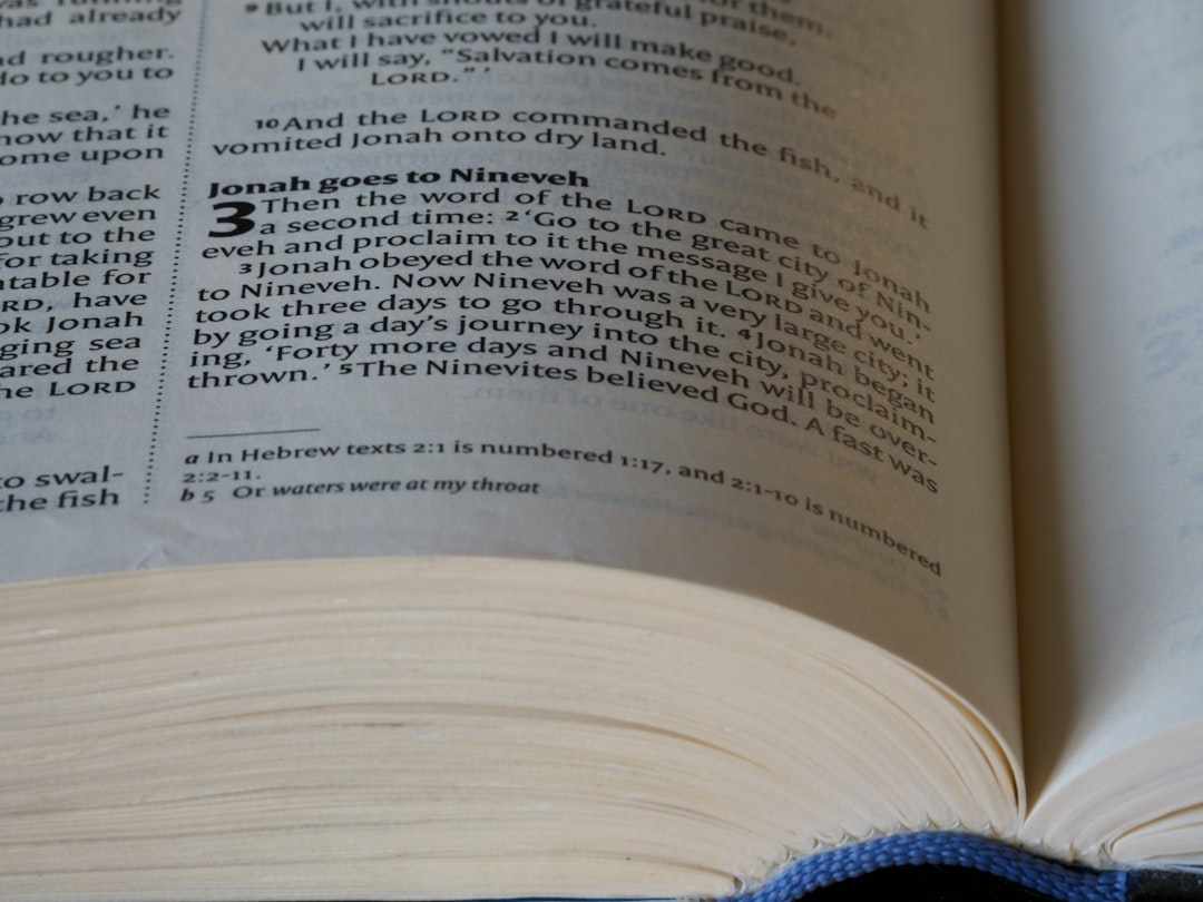 Verlieben Sie sich in die französische Sprache mit LernKit